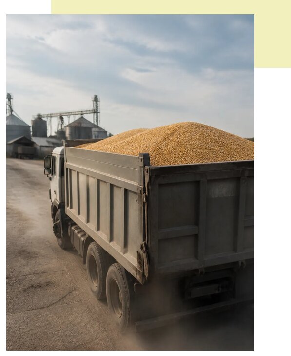 Перевозка сельхозпродукции навалом в Майкоп по цене от 3033 р. | Агросервис-Мкп
